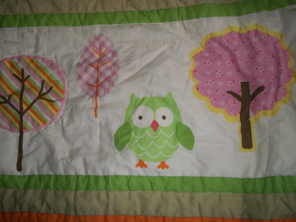 The Owl & The Apple Tree