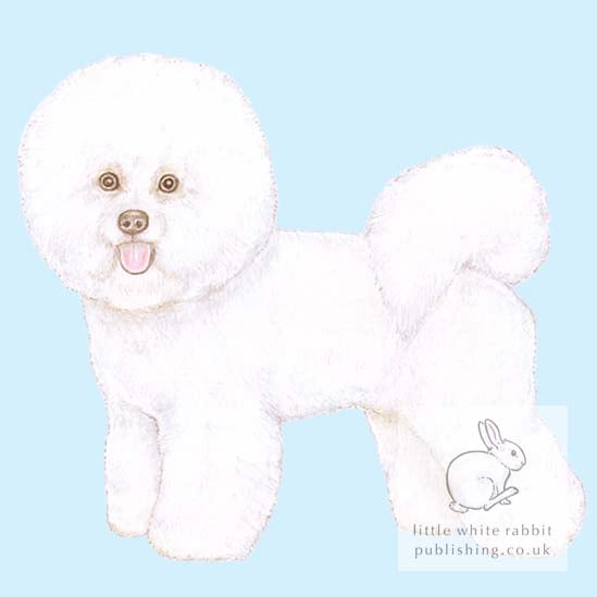 Mimi the Bichon Frise on Blue - Blank Card