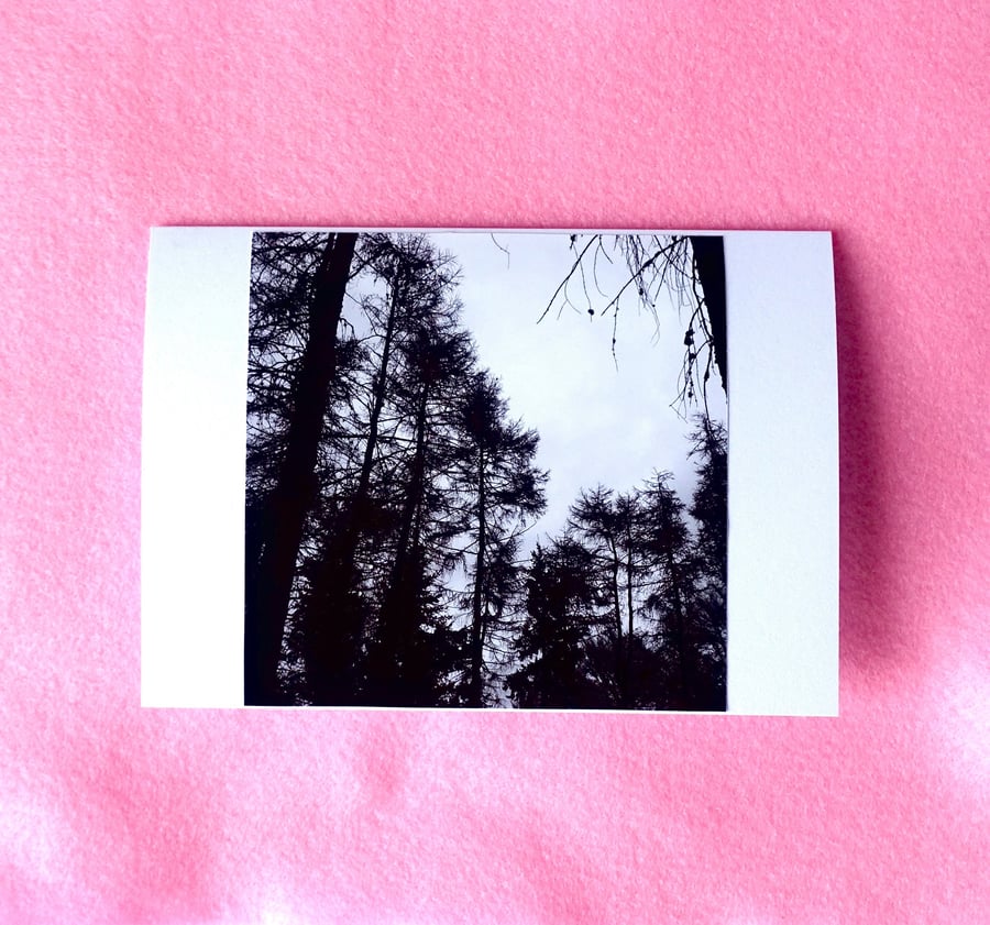 Forest Card - READY TO SHIP