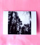 Forest Card - READY TO SHIP - Image 1