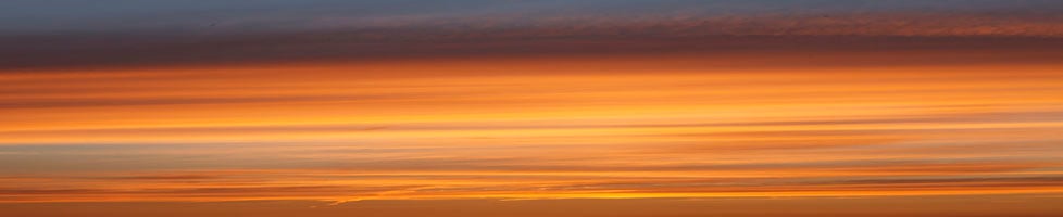 Bijal Shah Photography 