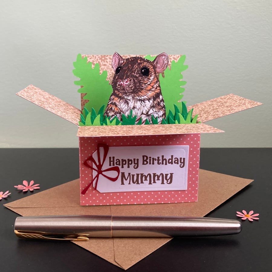Rat Card; Personalised, birthday or blank. Rat "pop up" gift card holder.