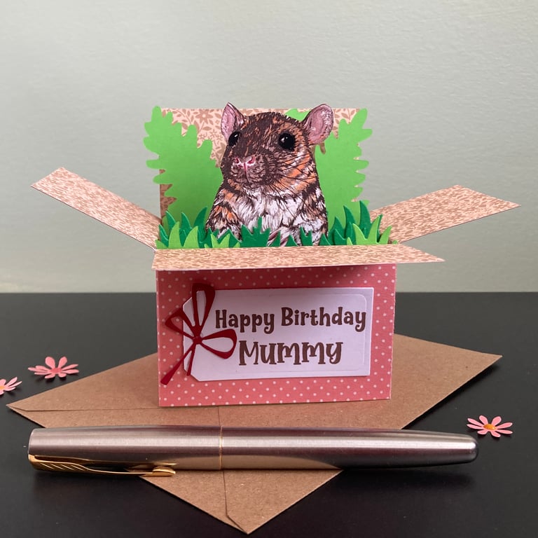 Rat Card; Personalised, birthday or blank. Rat "pop up" gift card holder.