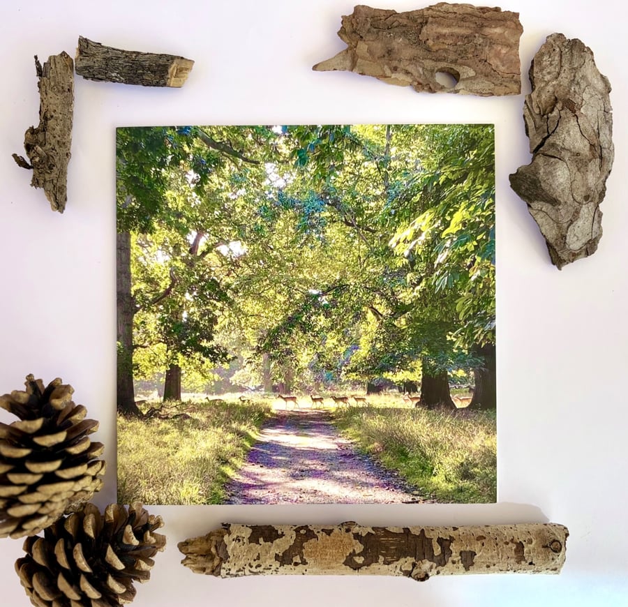 Deer - printed greetings card