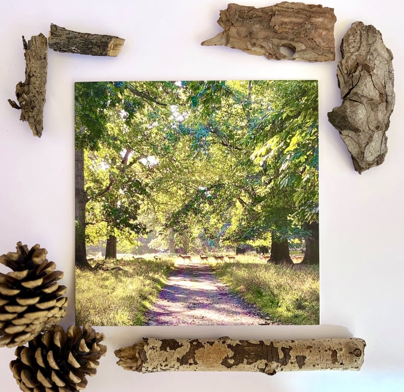 Deer - printed greetings card