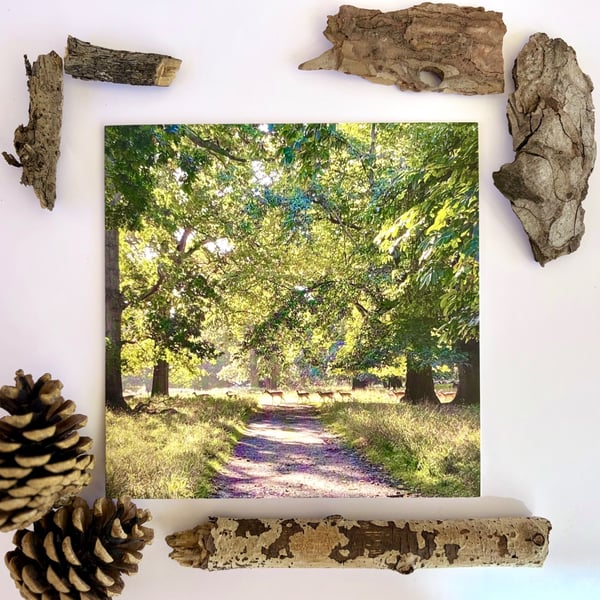 Deer - printed greetings card