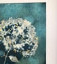 Botanical gift. Cyanotype Art. Hydrangea Annabelle flower. Perfect present  - Image 3