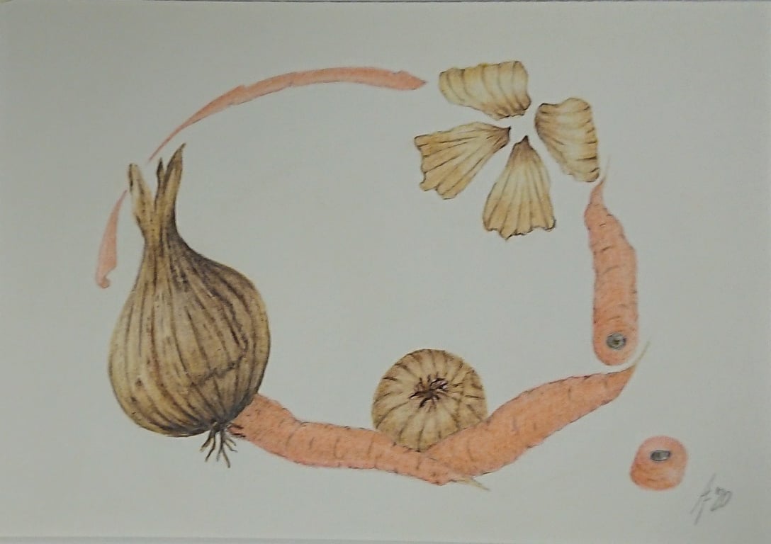 Pencil drawing of harvest vegetables, carrots and onions