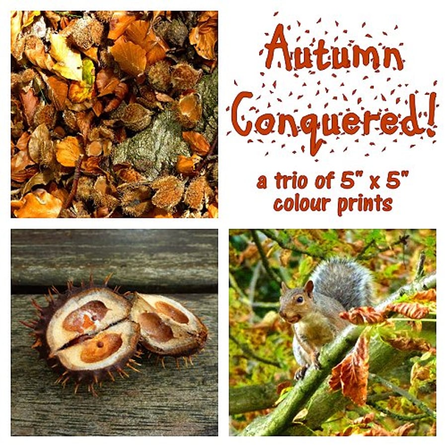 'Autumn Conquered!' a trio of 5" x 5" colour prints