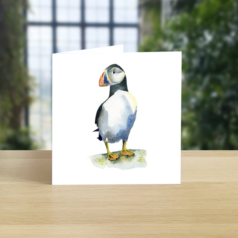 Puffin greeting card (blank)