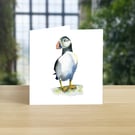 Puffin greeting card (blank)