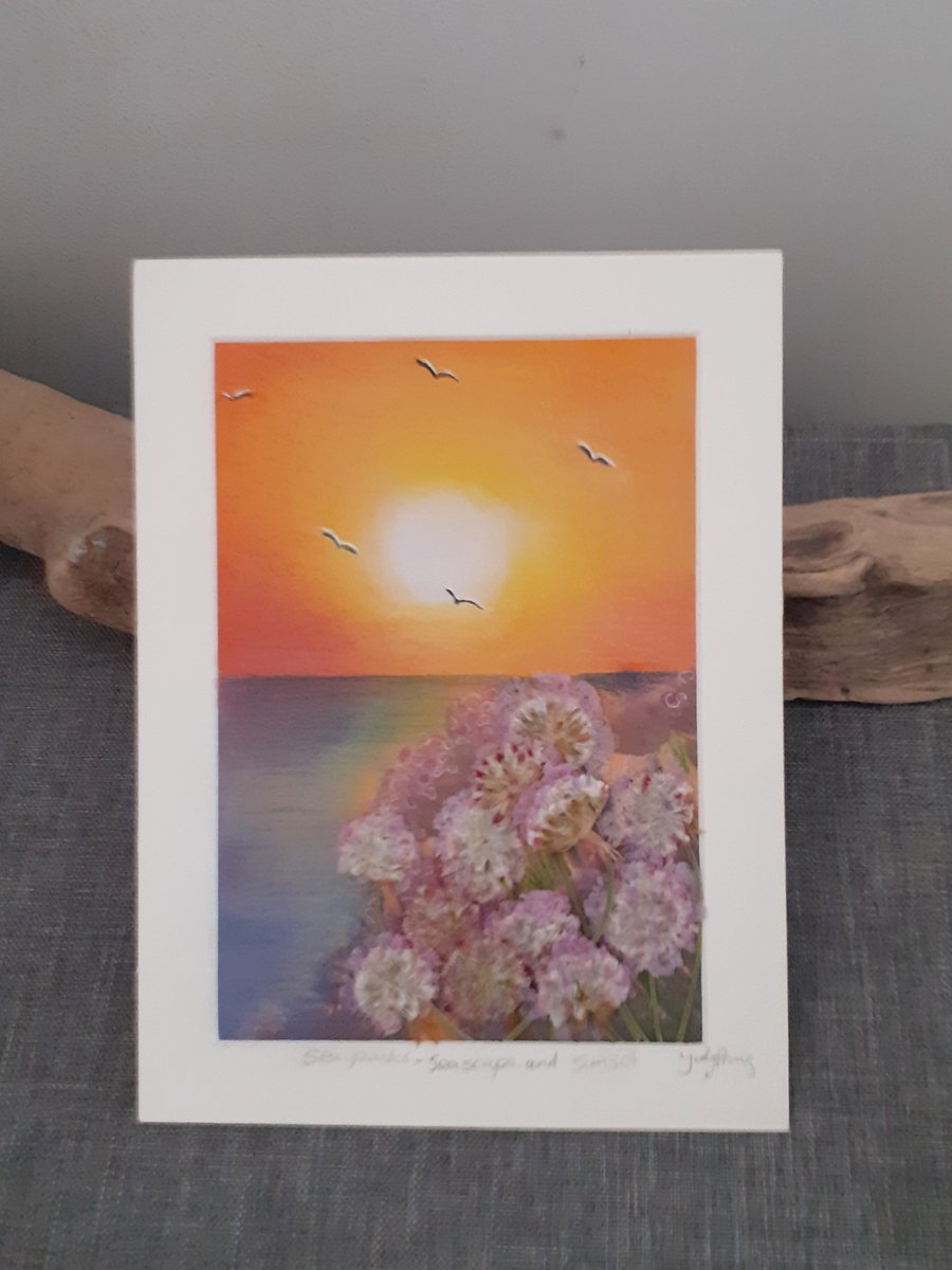 Sunset. Seascape and Sea Pinks   ..pastel painting with pressed sea pinks 