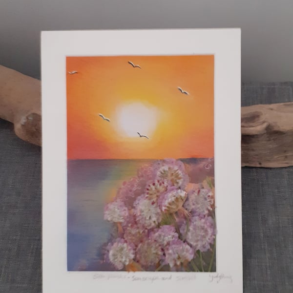 Sunset. Seascape and Sea Pinks   ..pastel painting with pressed sea pinks 