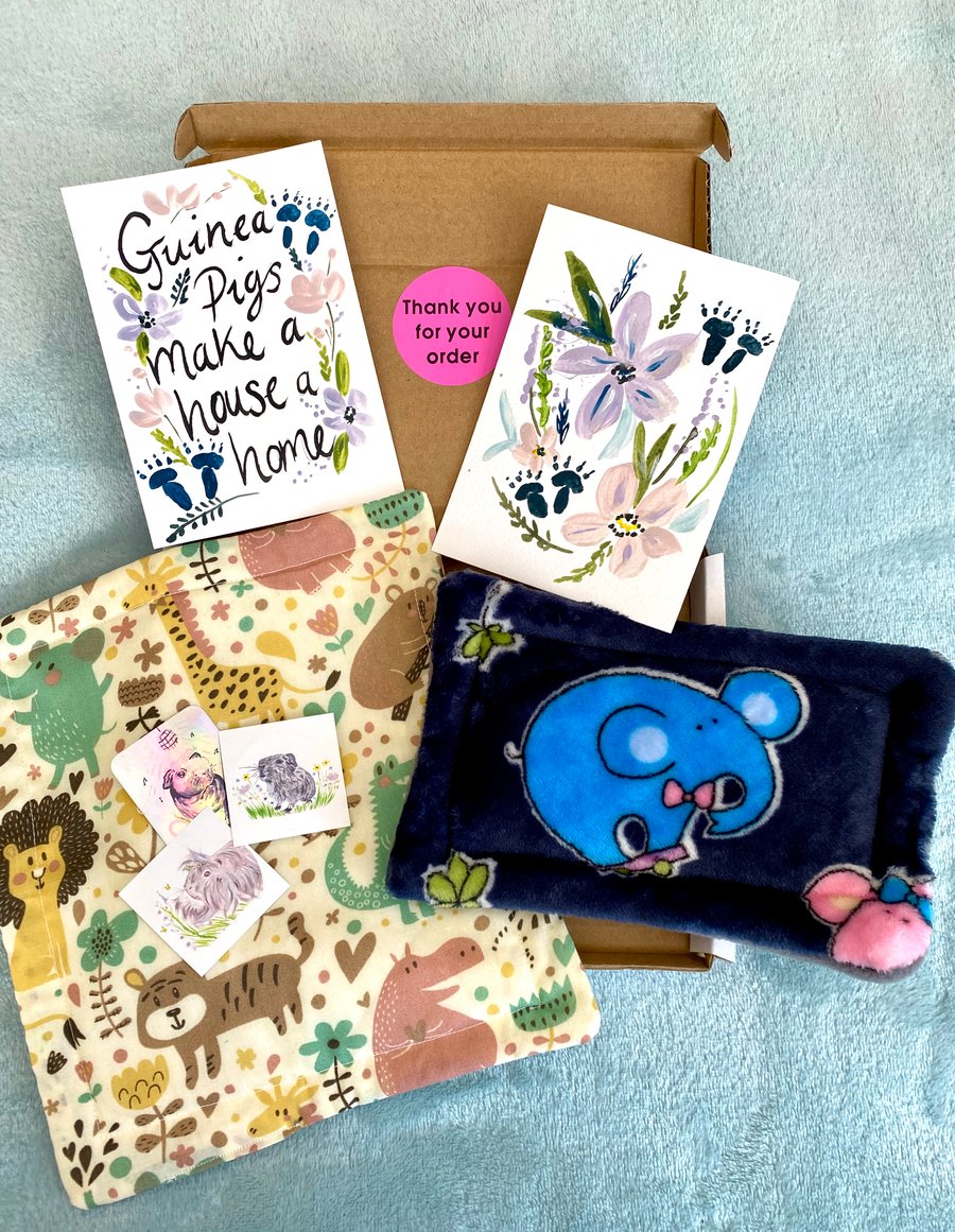Guinea Pig Letter Box Gift Set 