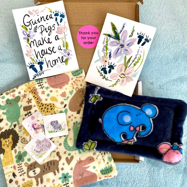 Guinea Pig Letter Box Gift Set 