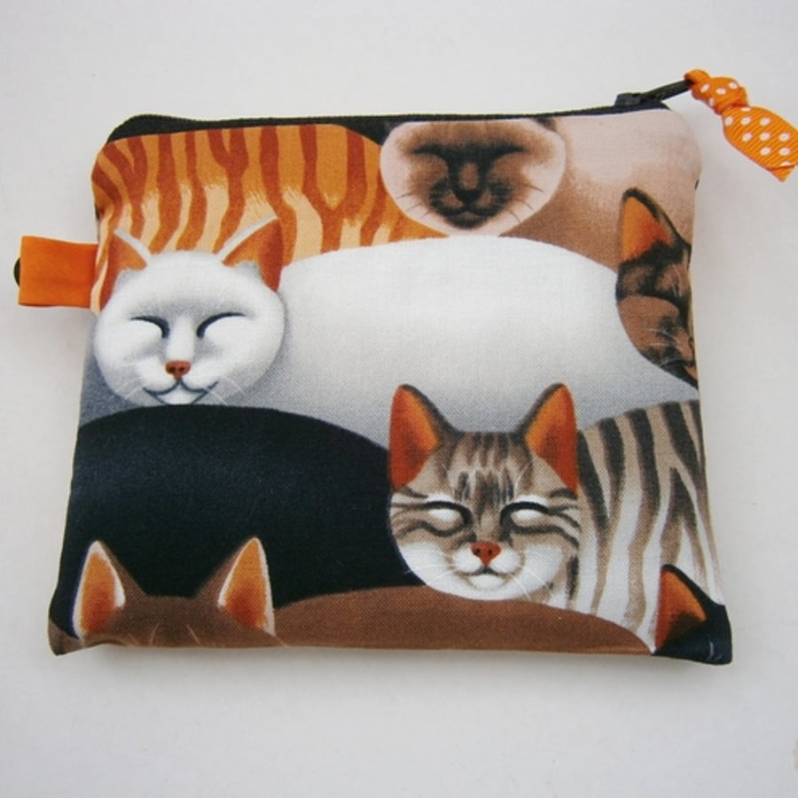  Little Sleeping Pussy Cats