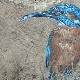 Kingfisher Giclee Print, Kingfisher Painting, A5