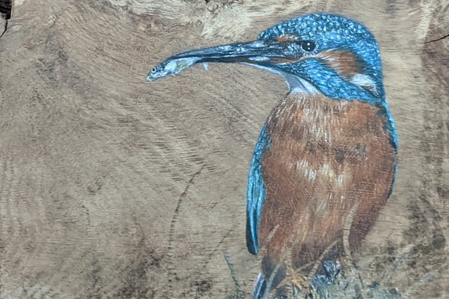 Kingfisher Giclee Print, Kingfisher Painting, A5