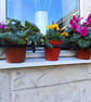 Window Sill Rail..............................Wrought Iron (Forged Steel) Hand   - Image 1