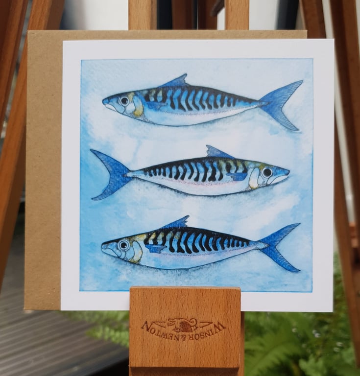 Three Watercolour Mackerels