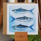 Three Watercolour Mackerels