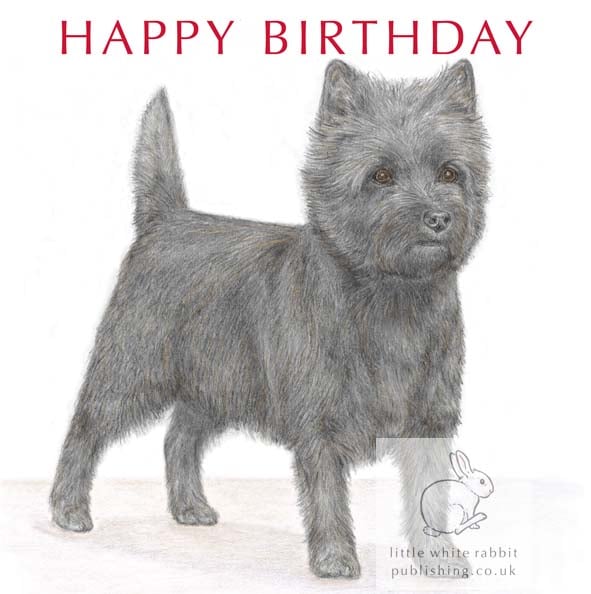 Maddie the Cairn Terrier - Birthday Card