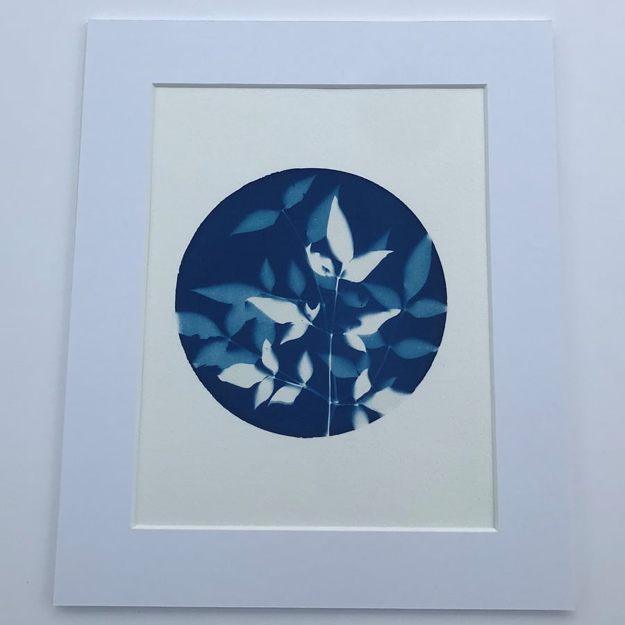 Flirting with Cyanotype Art