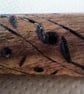 wand with phrography - Image 5