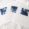 3 BOTANICAL CYANOTYPE PRINT CARDS WITH GOLD LEAF 