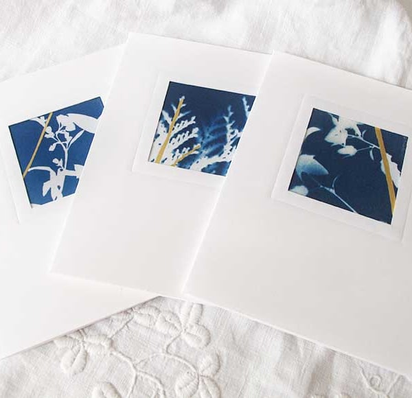 3 BOTANICAL CYANOTYPE PRINT CARDS WITH GOLD LEAF 