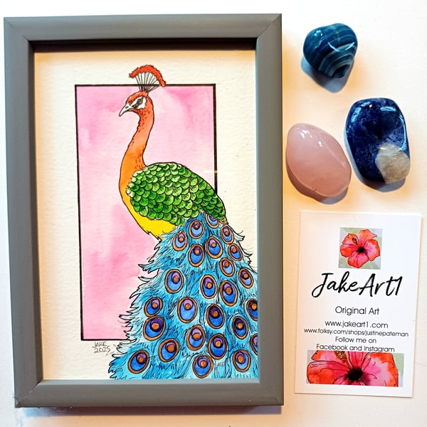 Rainbow Peacock framed original illustration 