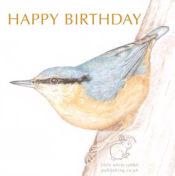 Nuthatch - Birthday Card