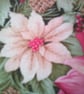 Pink Poinsettia's Adult Christmas Apron - Image 7