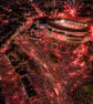Arsenal FC Premier League Champions Parade 2025-26 Photograph Print