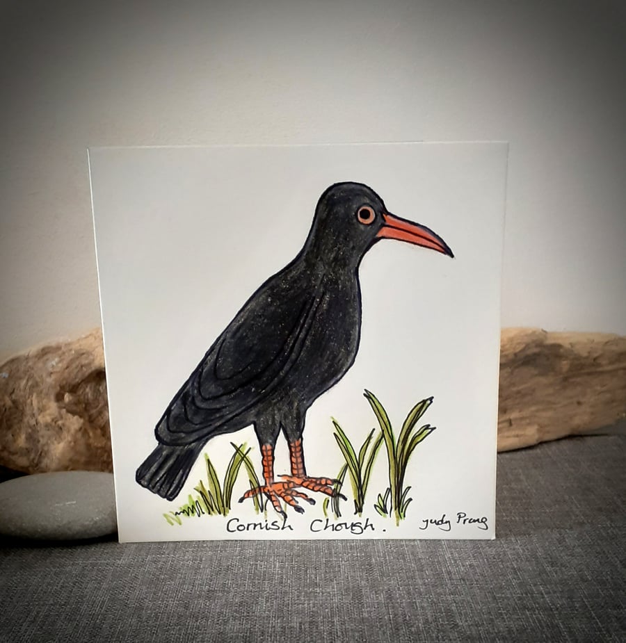 Hand drawn Cornish chough coastal bird card 