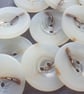 25mm 1" 40L Polyester HORN Buttons Flat matt edge with shiny centre x 6 - Image 2