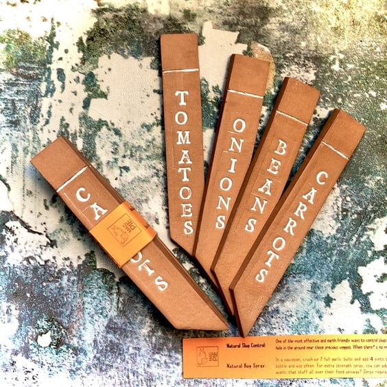 Ceramic veg markers - set of 4