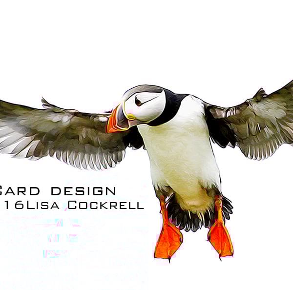 Exclusive Flying Puffin Greetings Card