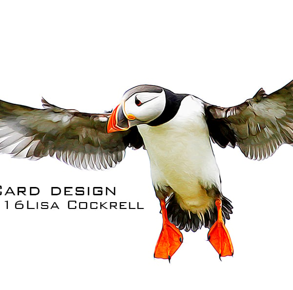 Exclusive Flying Puffin Greetings Card