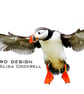 Exclusive Flying Puffin Greetings Card - Image 1