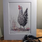 Silver Sussex Hen (Morticia) , an A4 print of an original mixed media drawing