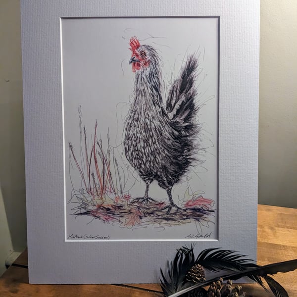 Silver Sussex Hen (Morticia) , an A4 print of an original mixed media drawing