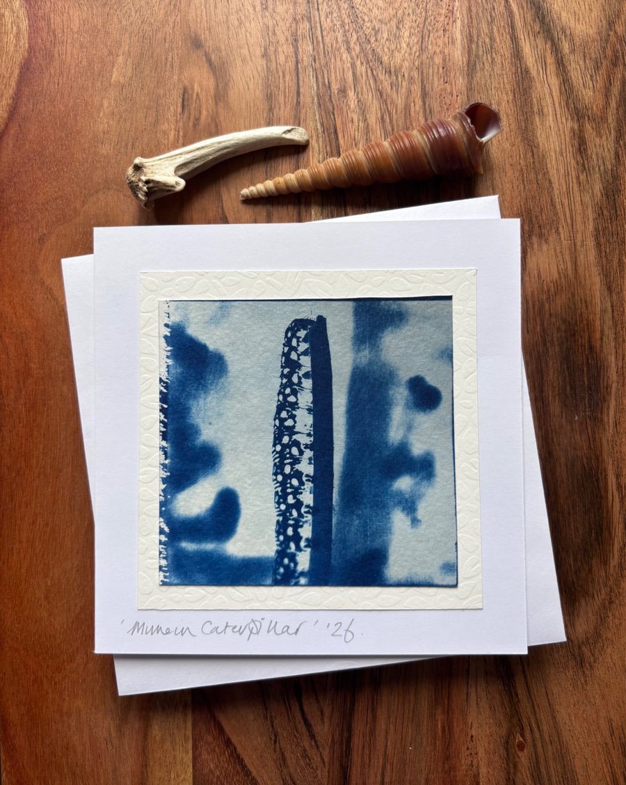 Image of Mullein Moth - Cyanotype Card with envelope