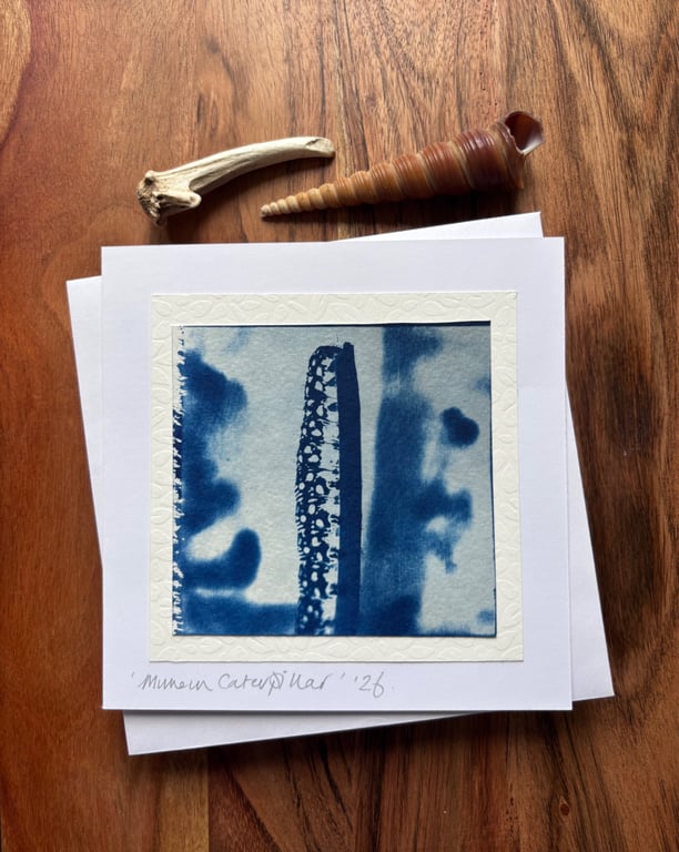 Mullein Moth - Cyanotype Card with envelope