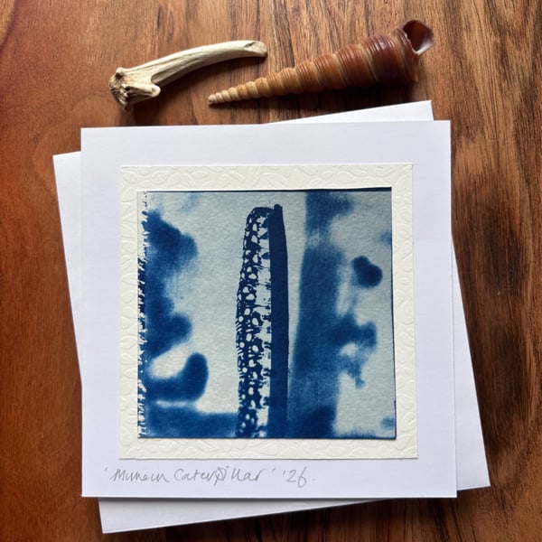 Mullein Moth - Cyanotype Card with envelope