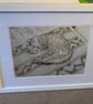 Portuguese Cat - Image 3