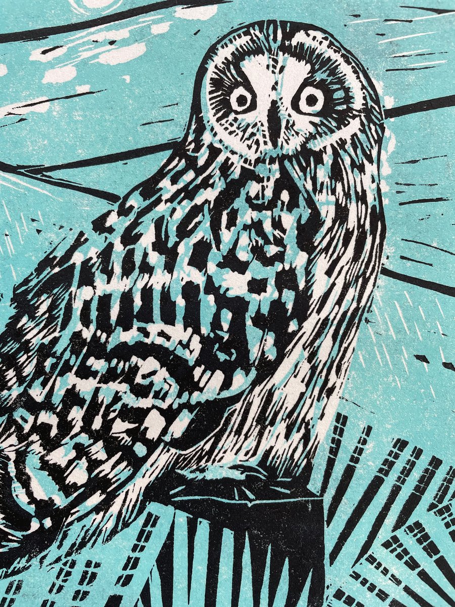 Short Eared Owl Geltsdale Nature Reserve Ltd Edition Lino Print