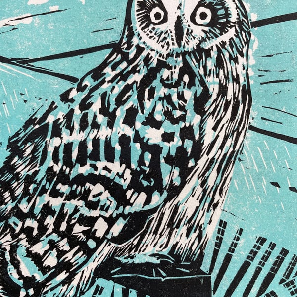 Short Eared Owl Geltsdale Nature Reserve Ltd Edition Lino Print