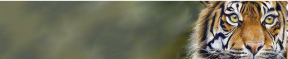 Artistic Originals by Christine Williams