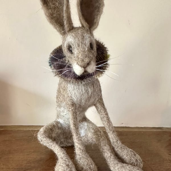 Sloppy Hare 
